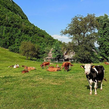 Charming Blacksmith'S House @ Lake Bohinj ภายนอก รูปภาพ