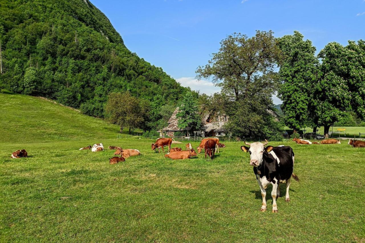 Charming Blacksmith'S House @ Lake Bohinj ภายนอก รูปภาพ